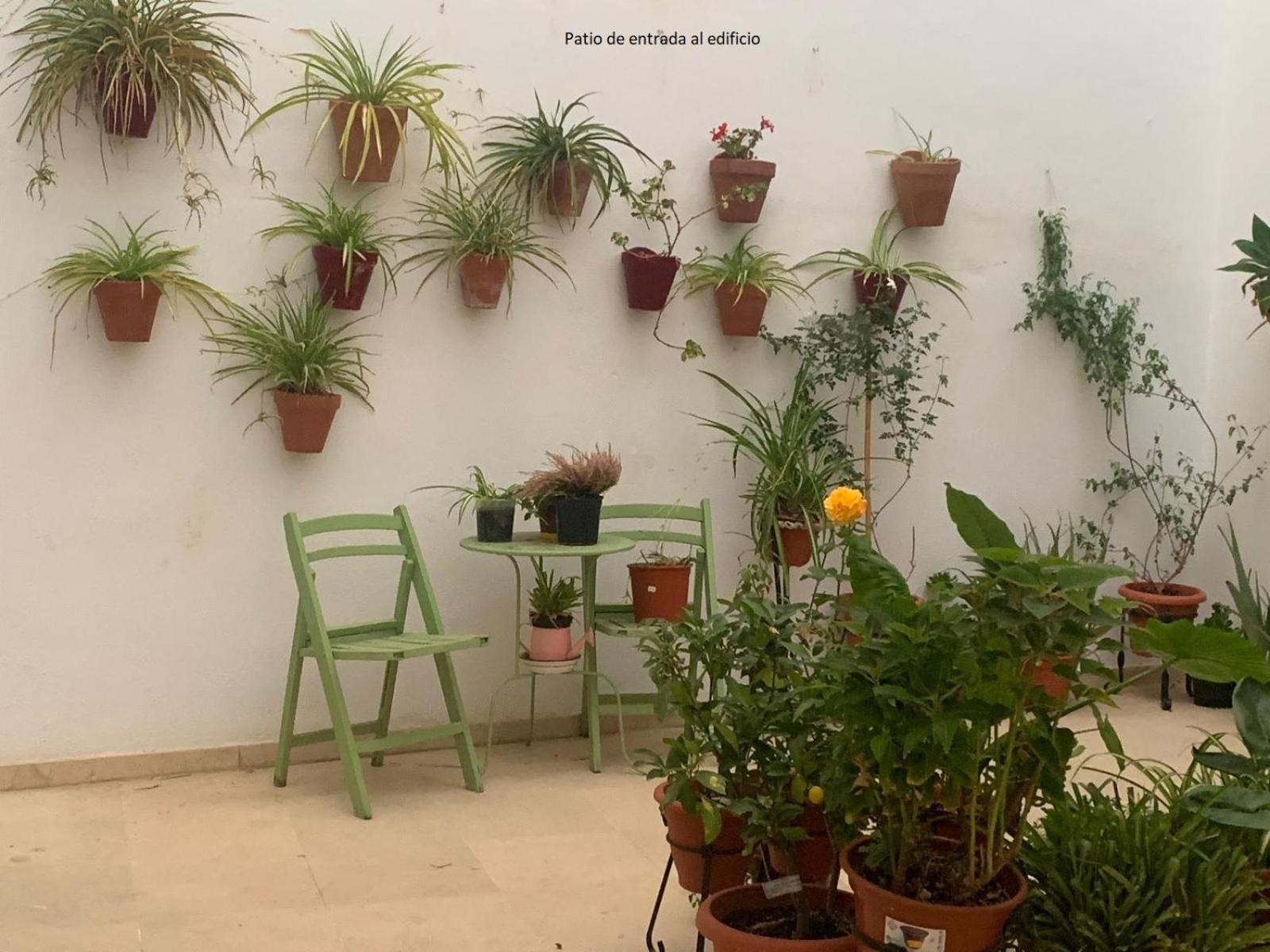 Casa Yaye Puerta Palma Lägenhet Écija Exteriör bild